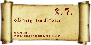 Kőnig Terézia névjegykártya
